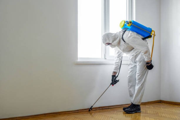 Best Termite Inspection and Treatment  in Sulphur Springs, TX